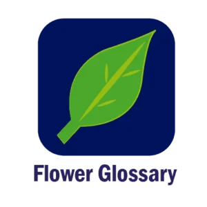 Flower Glossary 02 300x300