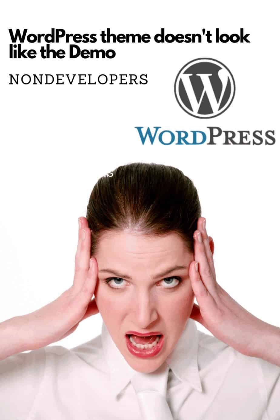 WordPress theme doesn't look like the Demo