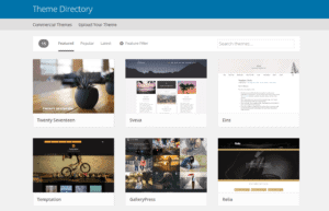 Wordpress Theme